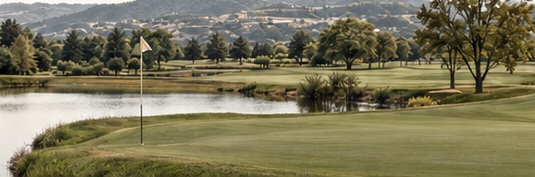 Vue illustrative d’un parcours de golf arboré